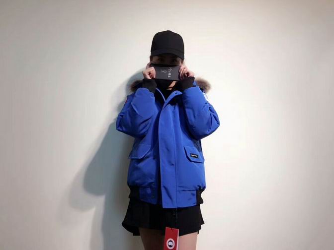 canada goose-015
